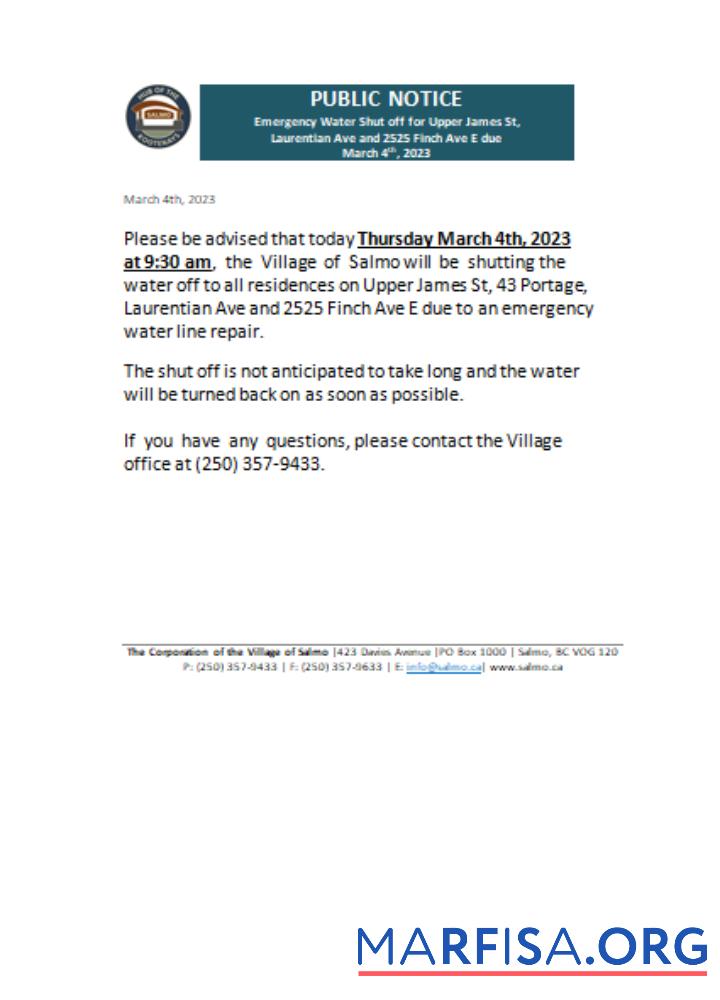 Blank Hub of the Salmo Kootenays utility shut off notice business bill, SCR sample